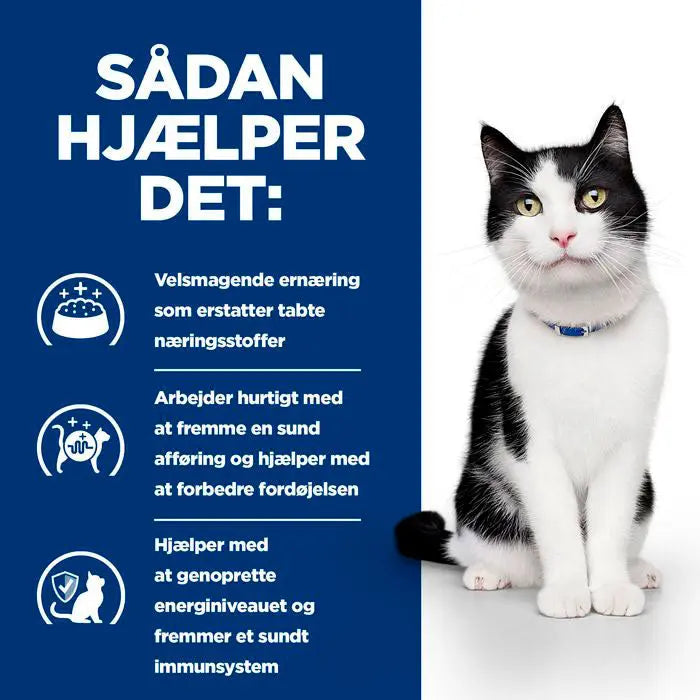 Diætetisk fuldfoder Digestive Care i/d 12x85 g - Maxi Zoo Danmark