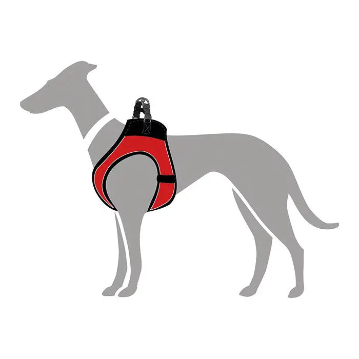 Hunter Hilo Comfort Hundesele hals 35-37cm bryst 36-40cm rød - Maxi Zoo Danmark