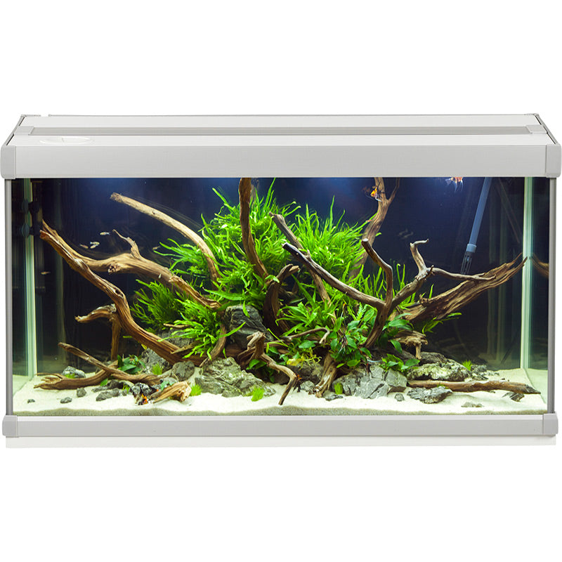 Family Aquarium 80 l, 70 X 32,5 X 37 cm hvid
