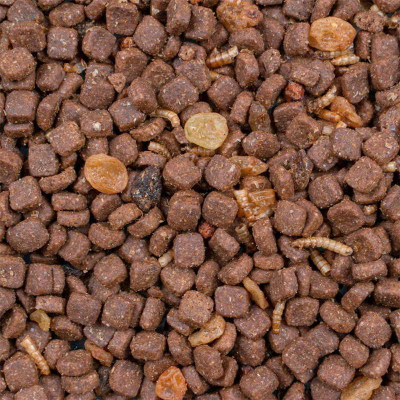 Pindsvin mix600 g - Maxi Zoo Danmark