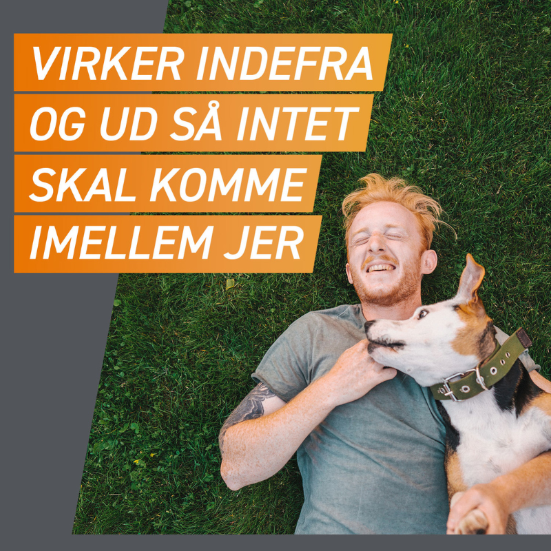 Flåt- & loppemiddel tabletter hund 4-10 kg - 3 stk/pk - Maxi Zoo Danmark