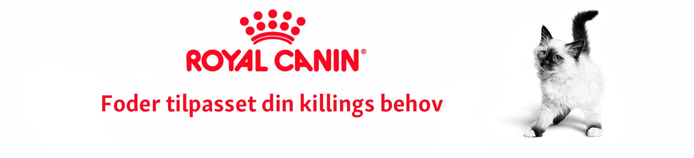 Royal Canin killingefoder i Maxi Zoo