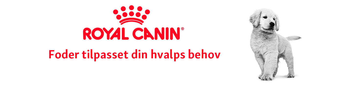 Royal Canin Puppy foder til hvalp i Maxi Zoo