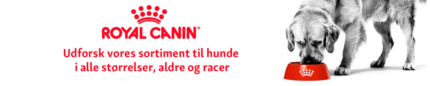 Royal Canin til hunde i Maxi Zoo
