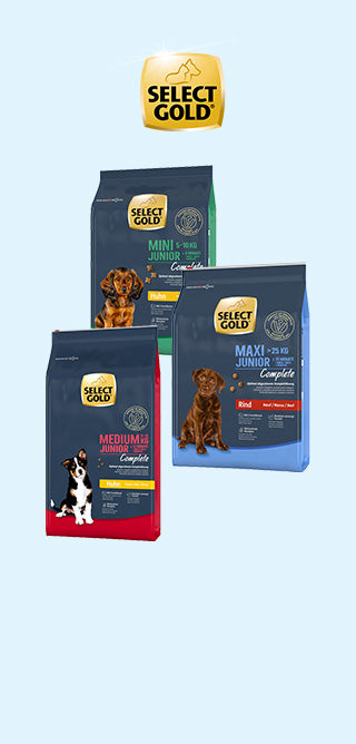 Select gold premium foder til junior hund