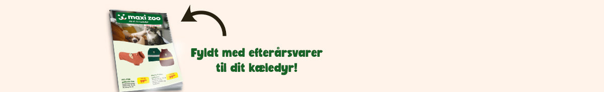 Maxi Zoo efterårsavis - fyldt med til dit kæledyr