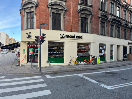 Vesterbro Maxi Zoo facade