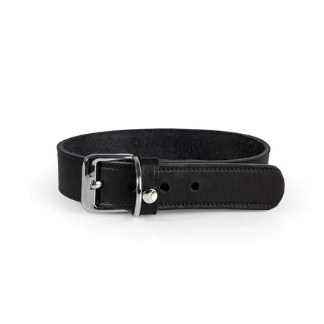 Læder halsbånd Weinheim 28-34 cm sort bred - Maxi Zoo Danmark