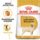 Adult Labrador Retriever 12 kg - Maxi Zoo Danmark