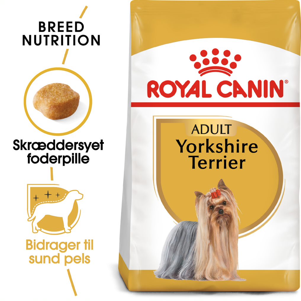 Adult Yorkshire Terrier 7,5 kg
