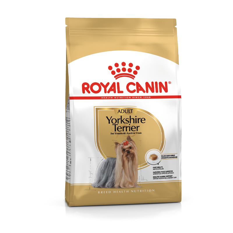 Adult Yorkshire Terrier 7,5 kg