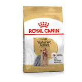 Adult Yorkshire Terrier 7,5 kg