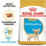 Puppy Chihuahua 1,5 kg - Maxi Zoo Danmark