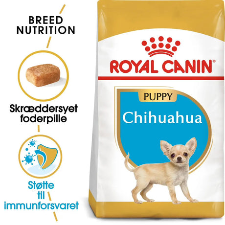 Puppy Chihuahua 1,5 kg - Maxi Zoo Danmark