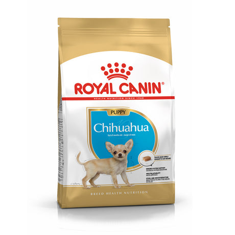 Puppy Chihuahua 1,5 kg - Maxi Zoo Danmark