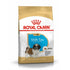 Puppy Shih Tzu 1,5 kg - Maxi Zoo Danmark