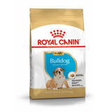 Puppy Bulldog 12 kg - Maxi Zoo Danmark