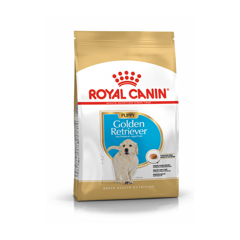 Puppy Golden Retriever 3 kg