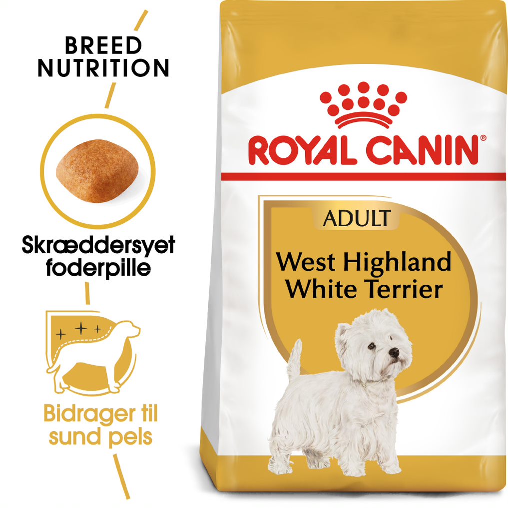 Adult West Highland Terrier1,5 kg