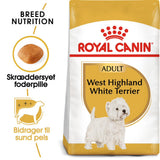 Adult West Highland Terrier1,5 kg