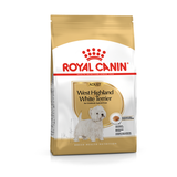 Adult West Highland Terrier1,5 kg