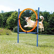Agility ring 65 cm Sæt med 13 dele - Maxi Zoo Danmark