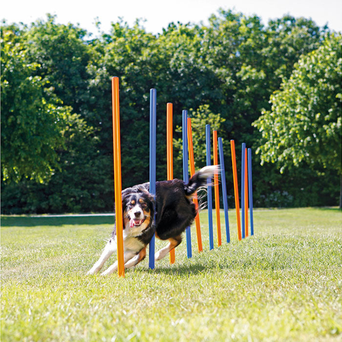 Agility slalom pinde 115 cm 12 stk - Maxi Zoo Danmark