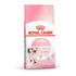 Kitten Digestive Health - Maxi Zoo Danmark