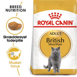 Adult > 12 British shorthair 400 g - Maxi Zoo Danmark
