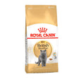 Adult British Shorthair ROYAL CANIN