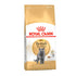 Adult British Shorthair ROYAL CANIN