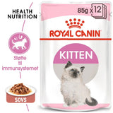 Kitten Gravy, menuboks pouch Instinctive 12x85 g - Maxi Zoo Danmark