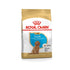 Puppy Poodle 3 kg