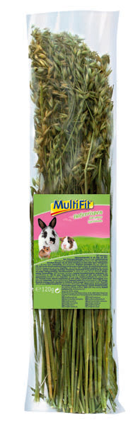 Havre 120 g - Maxi Zoo Danmark