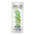 Rotala Rotundifolia Nr.4 - Maxi Zoo Danmark