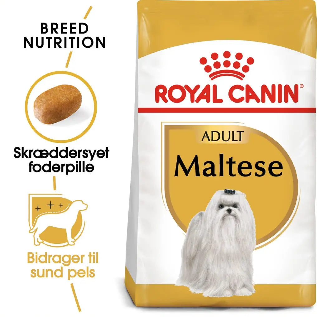Adult Malteser 1,5 kg - Maxi Zoo Danmark