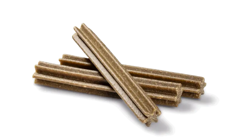 Dental Care Sticks Medium mint 28 stk - Maxi Zoo Danmark