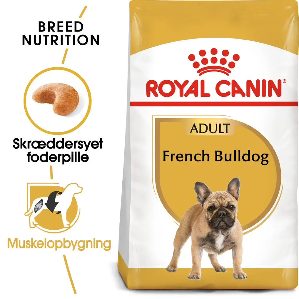 Adult Fransk Bulldog - Maxi Zoo Danmark