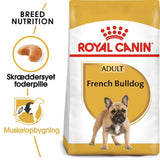 Adult Fransk Bulldog - Maxi Zoo Danmark