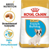 Puppy Fransk Bulldog ROYAL CANIN