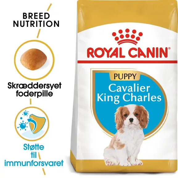 Puppy Cavalier King Charles 1,5 kg - Maxi Zoo Danmark