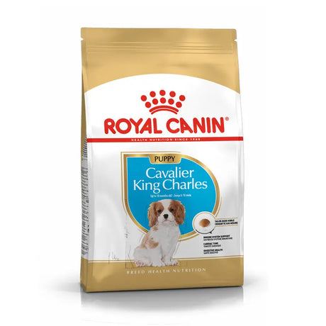 Puppy Cavalier King Charles 1,5 kg - Maxi Zoo Danmark