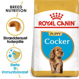 Puppy Cocker Spaniel 3 kg - Maxi Zoo Danmark