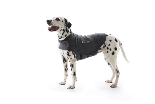 Thundershirt til hund large 64-76 cm 19-29 kg grå