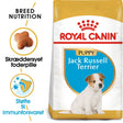 Junior Jack Russel 1,5 kg - Maxi Zoo Danmark
