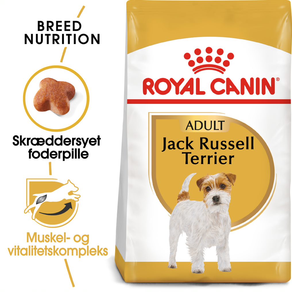 Adult Jack Russel 7,5 kg