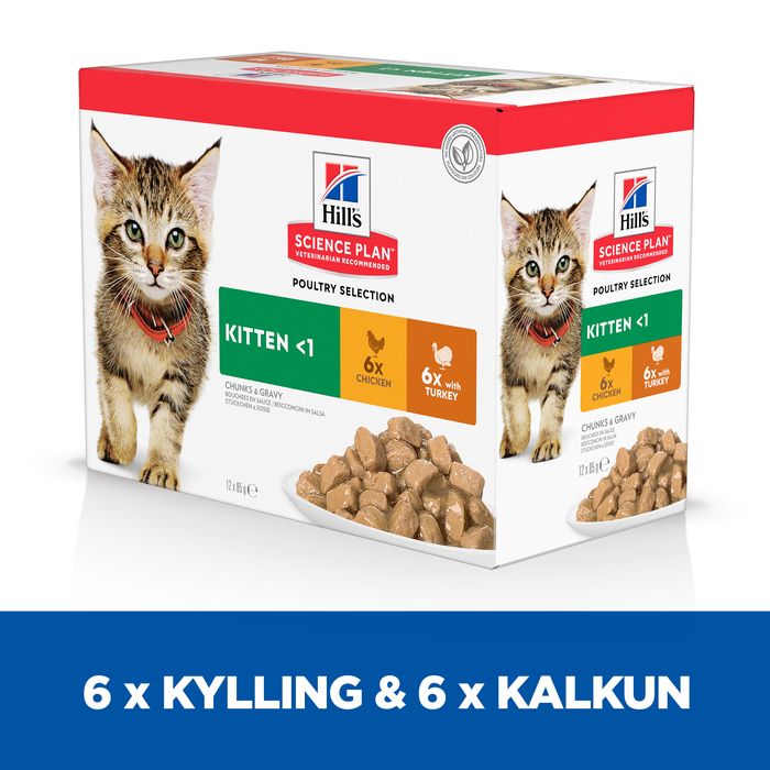 Kitten Healthy Dev., menu pou kylling & kalkun 12x85 g - Maxi Zoo Danmark