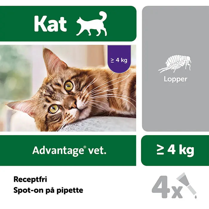Loppemiddel kat under 4 kg - 4x0,4 ml - Maxi Zoo Danmark