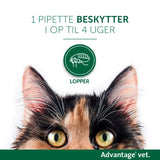 Loppemiddel kat over 4 kg - 4x0,8 ml - Maxi Zoo Danmark