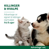 Loppemiddel hund under 4 kg -  4x0,4 ml - Maxi Zoo Danmark